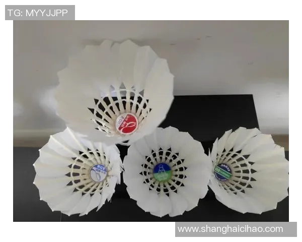 全面解析羽毛球器材选择技巧与使用指南助你提升球技与比赛表现