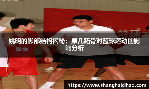 姚明的脚部结构揭秘：第几跖骨对篮球运动的影响分析