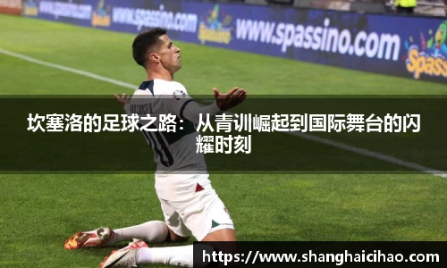 坎塞洛的足球之路：从青训崛起到国际舞台的闪耀时刻